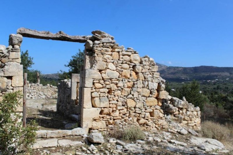 Douliana Riesiges Grundstück mit Ruinen, Wald, Olivenhain und Panoramablick Grundstück kaufen